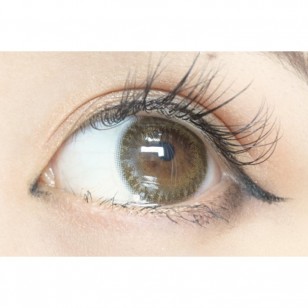 FLANMY Matcha Tart 10片裝